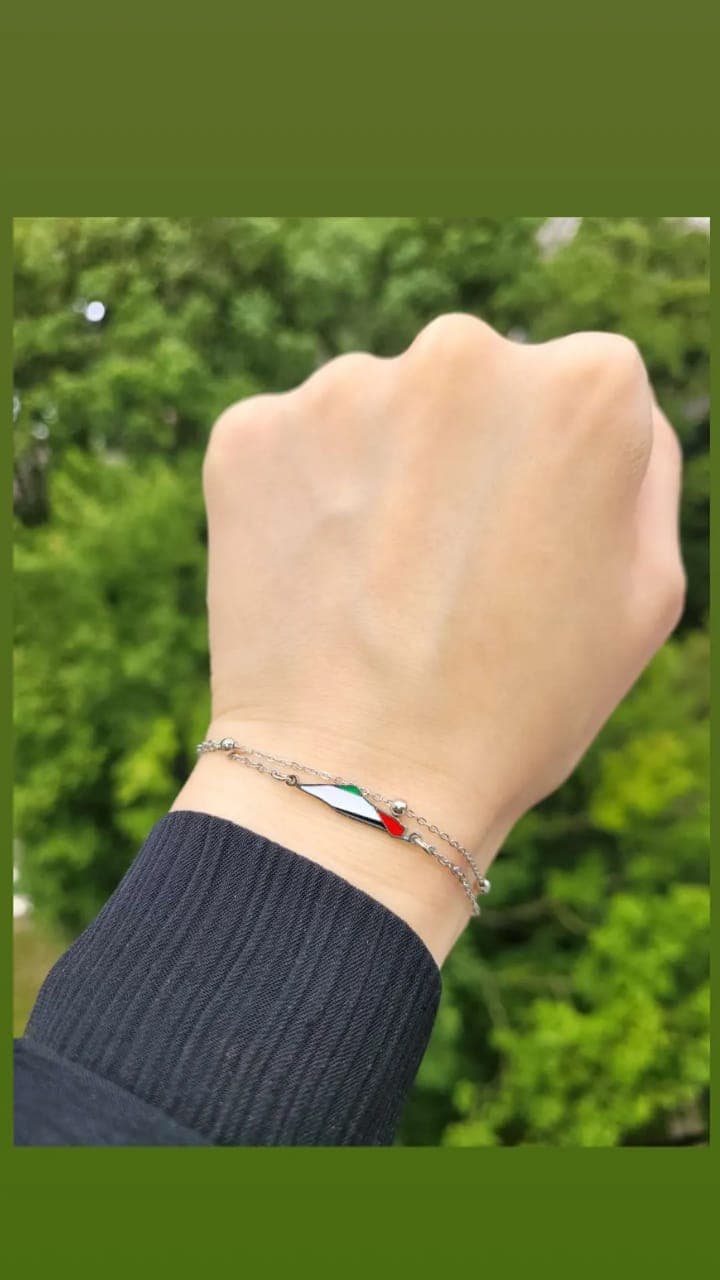 PALESTINE NOUS SOMMES vue 3